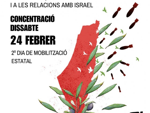 La segona mobilitzaci&oacute; estatal per Palestina t&eacute; lloc a Alcoi aquest 24 de febrer
