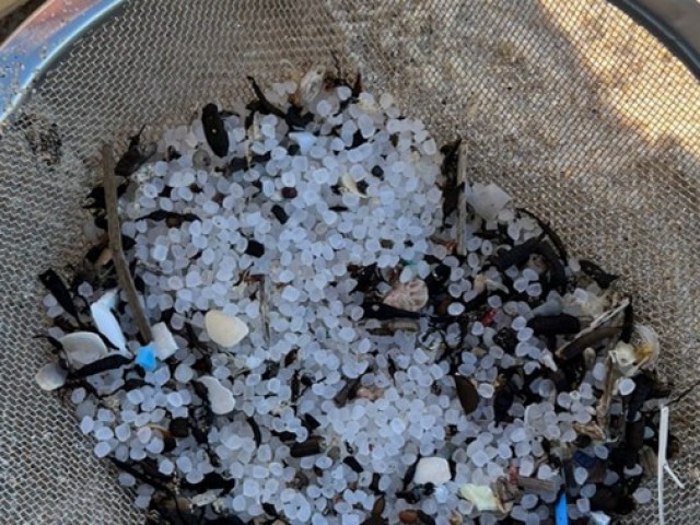 Erum i ACTECO reciclaran els residus micropl&agrave;stics apareguts a les costes gallegues per a crear nous productes