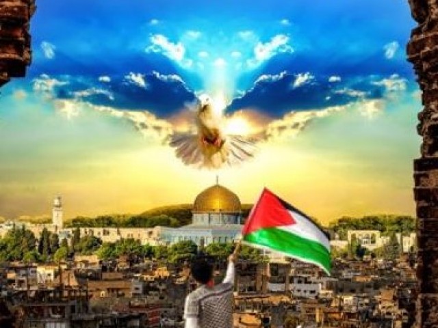 Alcoi convoca una nova concentraci&oacute; per Palestina