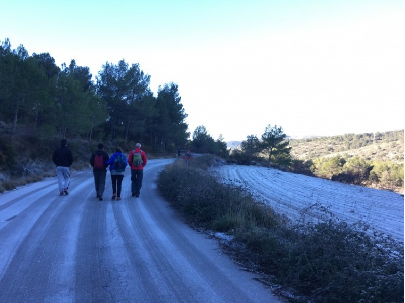 El cap de setmana arribaven les primeres gelades a les nostres serres./ AM