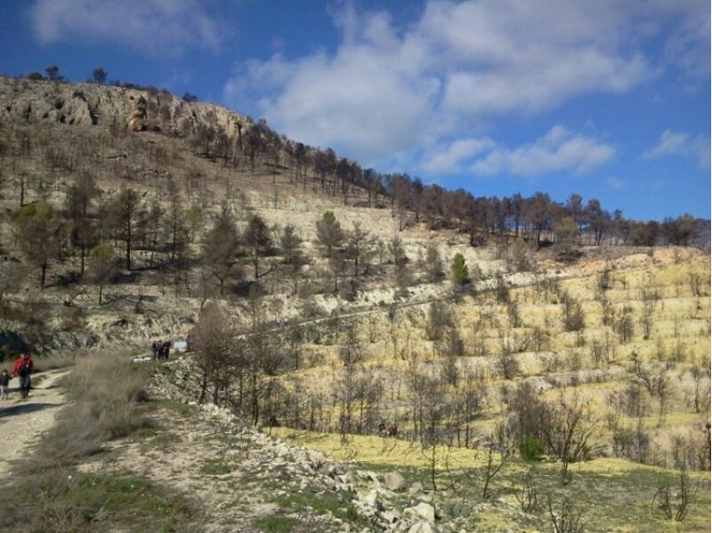 Uns 80 voluntaris van col·laborar en les tasques de protecció del sòl contra l'erosió./ RV